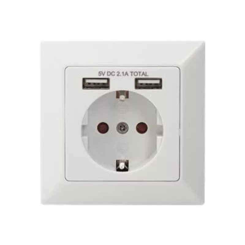 Turvapistikupesa süvispaigalduseks Digitus DA-70613 kahe USB-pordiga
