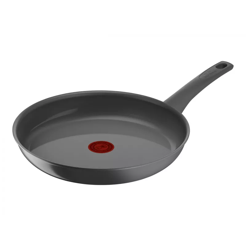 Praepann Tefal C4260643, 28 cm läbimõõt, induktsiooniga ühilduv, fikseeritud käepide, hall