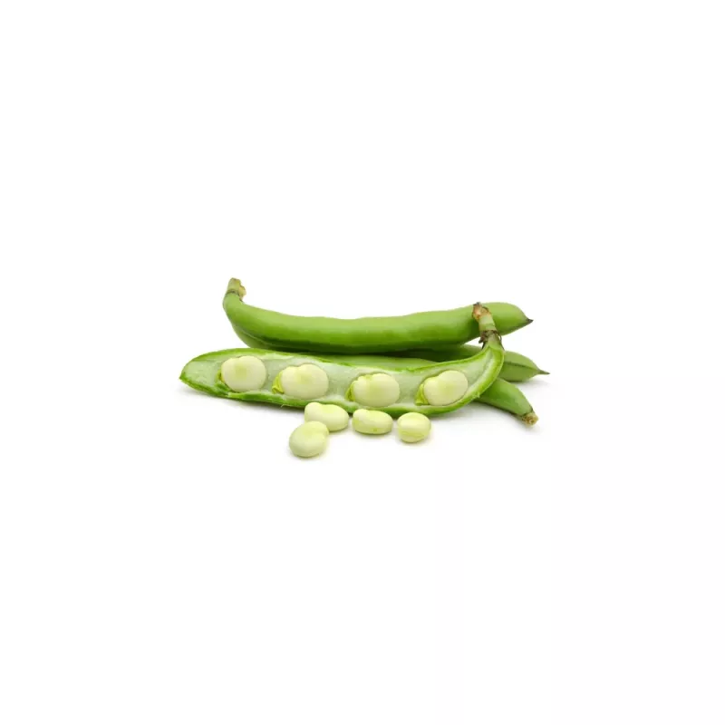 Seemnepakk Apte PNOS — Põlduba (fava) Jankiel Bialy, 50 g