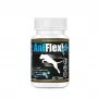 GAME DOG AniFlexi FIT V2 liigeselisand koertele 30 tabletti