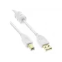 Microconnect USBAB2WF USB-kaabel USB 2.0 2 m USB A USB B Valge