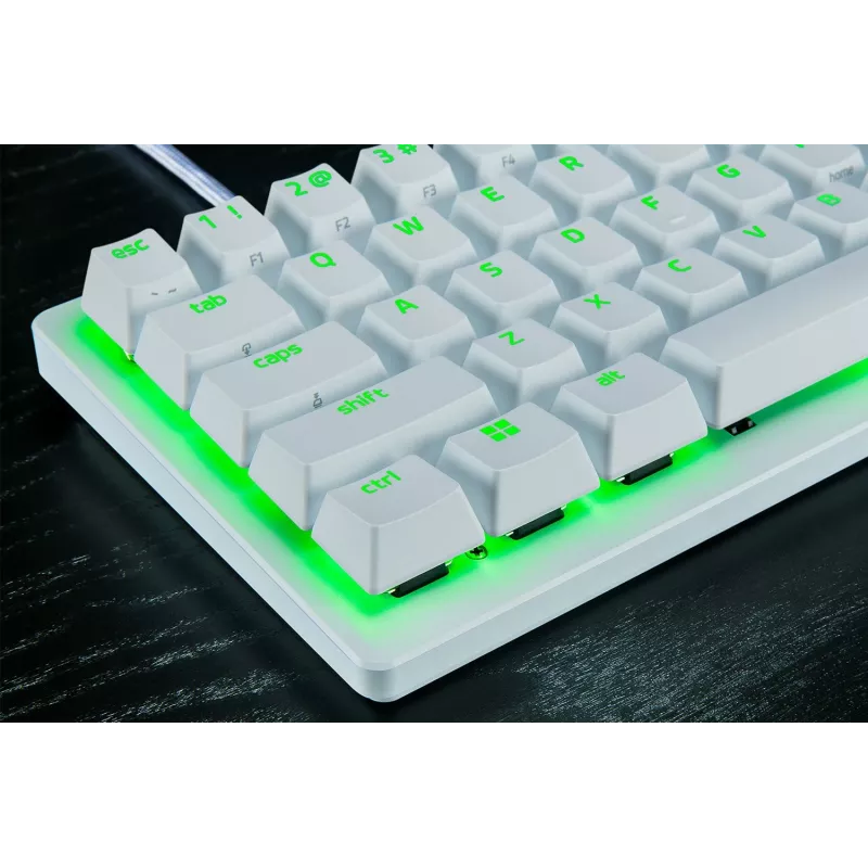 Razer RZ03-04990100-R3M1 klaviatuur Mängimine USB QWERTY UK International valge