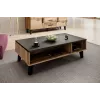 Cama LOTTA 110 Kohvilaud wotani tamm/mat must