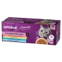 WHISKAS Aromatic selection Mix märg kassitoit — 40 x 85 g kotikest, täiskasvanud kassidele, 83,6% niiskust
