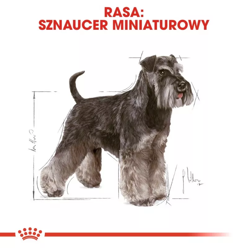 Kuiv koeratoit Royal Canin Miniature Schnauzer Adult, linnuliha, 3 kg, väikestele tõugudele