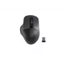 Natec Genesis Mustbird 2 hiir RF juhtmeta optiline 1600 DPI