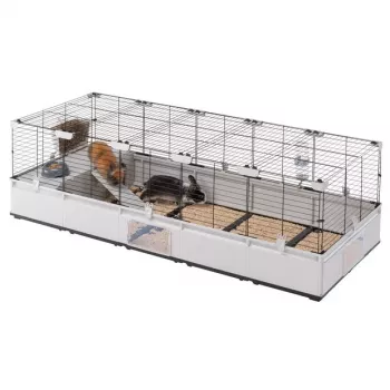 FERPLAST Modular 4 - puur küülikule ja kodusele meriseale - 179 x 72 x 56 cm