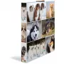 Ring binder HERMA 19358 A4 Multicolour
