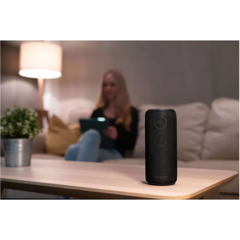 Bluetooth-kõlar SIRIUS 2 Must, võimsus 20 W