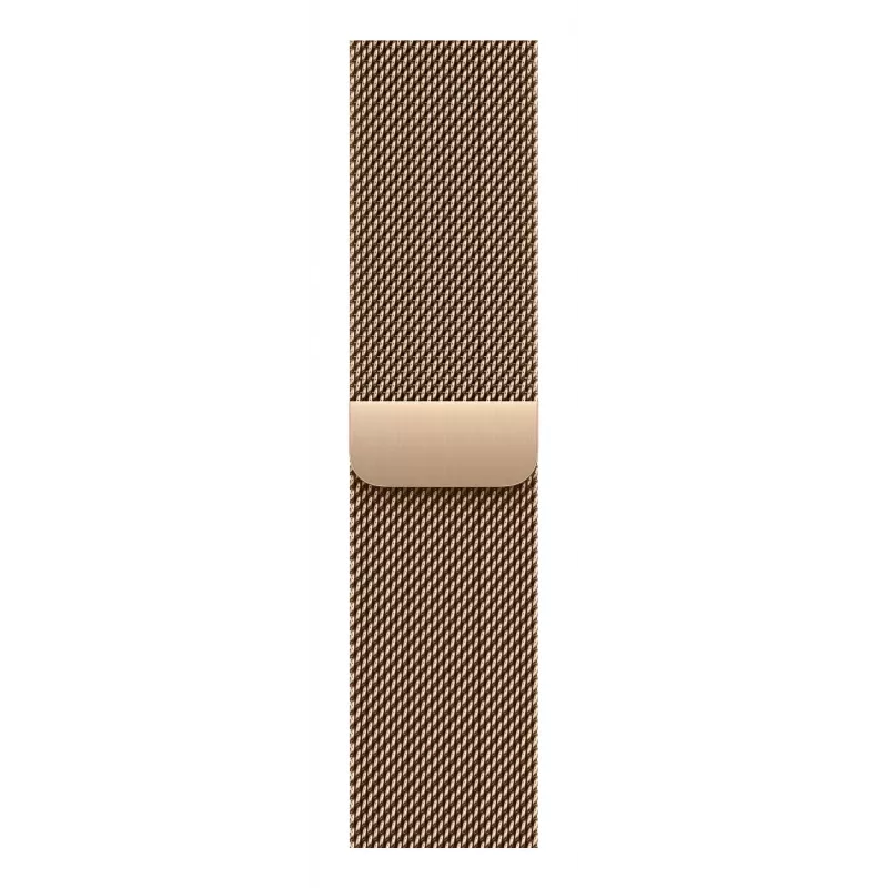 Rihm Apple MGHW4ZM/A nutikellale, kullavärvi roostevaba teras, 40 mm