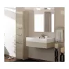 Topeshop S43 SONOMA vannitoa hoiukapp Tamm