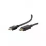 Videokaabli adapter ShiverPeaks BS77495-2 5m DisplayPort HDMI-le