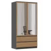 Topeshop SZAFA MALWA AN/AR L bedroom wardrobe/closet 5 shelves 2 uks(s)