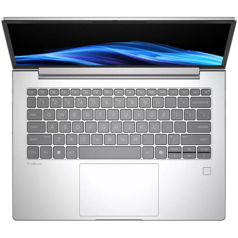 Notebook HP INC. PROBOOK 4 G1A R5-230 14 WUXGA 16GB 512GB W11P WL BT
