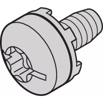 SCHROFF Screw Taptite - NTS M6 TAPTITE kruvi 50 tk (23130285)