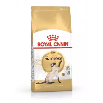 Royal Canin Siamese Adult kuivtoit kassidele, 2 kg