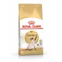 Royal Canin Siamese Adult kuiv kassitoit siiami kassidele 2 kg — täiskasvanud, linnuliha, valk 38%, rasv 16%