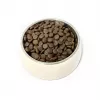 PUPIL Premium Insects - kuivtoit koertele - 12 kg