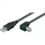 Wentronic Goobay USB 2.0 Hi-Speed Kaabel, Must, 5 m - USB 2.0-Pistik (Tüüp A) > USB 2.0-Pistik (Tüüp B) (95118)