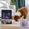 ADDVENA Power of Nature Junior Medium/Large Lamb - kuiv koeratoit - 10kg