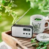 Portable digital radio Adler AD 1907 — AM/FM, digital tuner, alarm, USB-C, 600 mAh battery, LCD, 20 presets, telescopic antenna