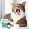 Suuõõnesprei JM Sante Vet Protector 30 ml koertele ja kassidele, vedel, säilitusainevaba, suhkruvaba