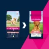 Kuiv koeratoit EUKANUBA Senior Large Lamb and Rice 12 kg — suurtele seeniorkoertele, 24% valku, 12% rasva