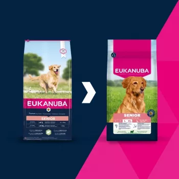 Kuiv koeratoit EUKANUBA Senior Large Lamb and Rice 12 kg — suurtele seeniorkoertele, 24% valku, 12% rasva