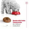 ROYAL CANIN Mini Ageing Adult +12 - kuiv koeratoit - 3,5 kg