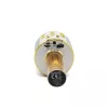 Mikrofon MANTA MIC10-G Gold kardioidne kaasaskantav — kardioidne kondensaator, pihuformaadis
