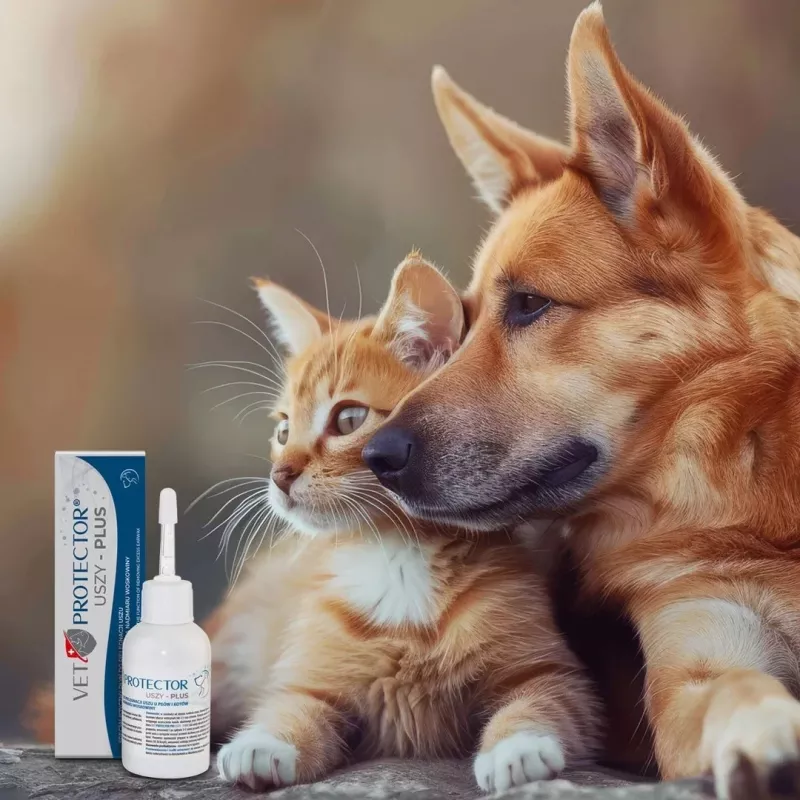 Kõrvalahus JM Sante Vet Protector Uszy Plus 50 ml — kõrvahooldus täiskasvanud koertele ja kassidele, plastpudel