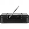 Telestar Imperial Dabman i460 Internet Digital Must