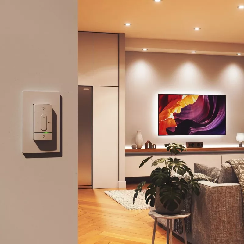 Nutikas juhtmevaba lüliti Nanoleaf N4400C02-1BUT — patareitoitega, kohandatav juhtimine nutikatele tuledele ja seadmetele