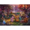 Thomas Kinkade Studios: Disney - Robin Hood, 1000-osaline pusle