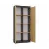 RS-80 HEMN OFFICE SHELVING UNIT, ANTHRACITE/ARTISAN OAK