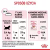 Kuiv kassitoit Royal Canin Kitten 10 kg – kana, 36% valku, 18% rasva, kassipoegadele ja tiinetele/imetavatele emastele