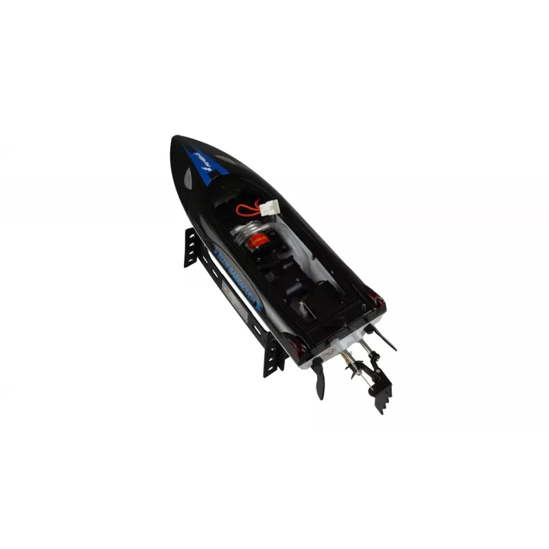 Paat Amewi Blue Barracuda V2