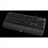 Qpad 9J.P7N81.K0G Must