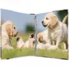 Ring binder HERMA 19358 A4 Multicolour