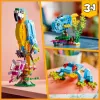 LEGO ehituskomplekt Eksootiline Papagoi 31136 — Creator vitriinmudel, 253 tükki, 220×120×110 mm