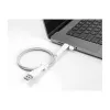 DeLOCK tolmukate USB Type-A isasele ja USB USB-C isasele, komplekt 2 tk, valge