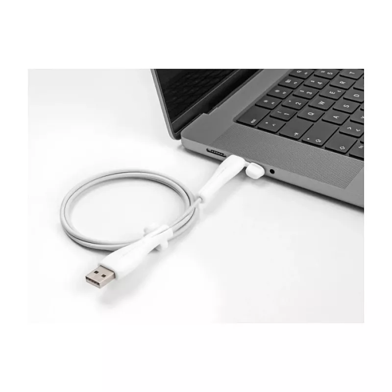 DeLOCK tolmukate USB Type-A isasele ja USB USB-C isasele, komplekt 2 tk, valge