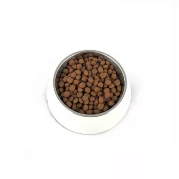 PUPIL Premium Light&Senior Medium and large breeds Rich in turkey and rice - kuiv koeratoit - 12kg