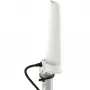 Mastile/seinale kinnitatav 4 dBi 5G/LTE omnidirektsionaalne antenn Poynting A-OMNI-0280-02-V1, SMA (isane), 2 m kaabel, valge
