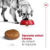 Royal Canin Maxi Adult 5+ kuivtoit koertele, 15 kg