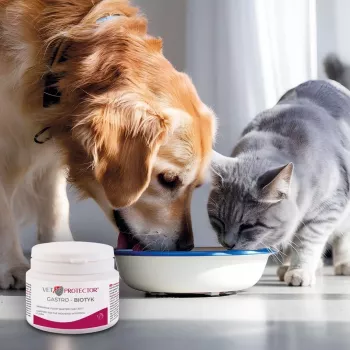 Toidulisand JM Sante Multibiotic Vet Protector Gastro koertele ja kassidele, 60 g — probiootiline toetus täiskasvanud loomadele