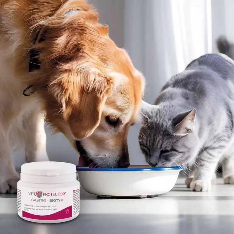 Toidulisand JM Sante Multibiotic Vet Protector Gastro koertele ja kassidele, 60 g — probiootiline toetus täiskasvanud loomadele
