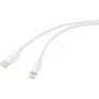 Renkforce USB-kaabel USB 2.0 USB-C® pistik, Apple Lightning pistik 2,00 m valge (matt) RF-5724080 (RF-5724080)
