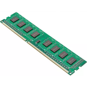 Pny DIM8GBN12800/3-SB mälumoodul