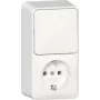 GIRA pistikupesa SCHUKO 417613 kombinatsioonlüliti vertikaalne pealispindne paigaldus RW (417613)